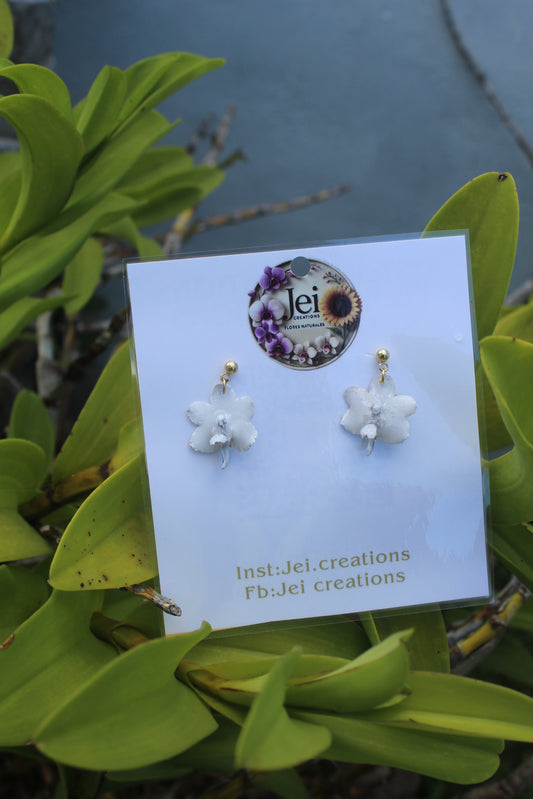 Extra Baby White Orchid Vanda Earings