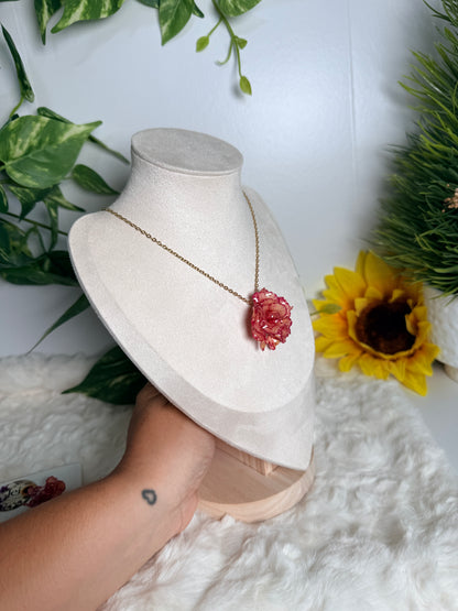 Crimson Carnation Set(clavel mini )