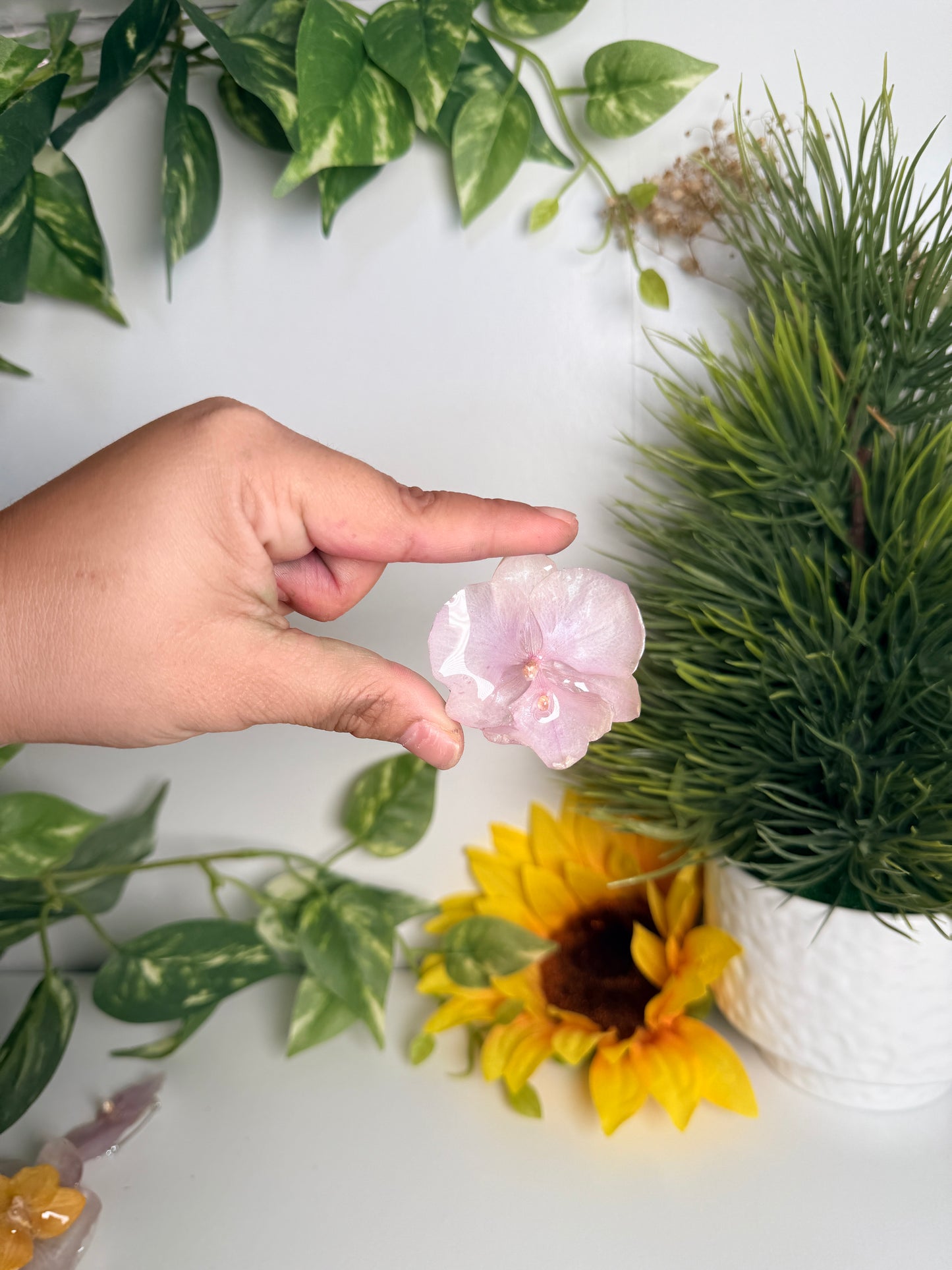 Prendedores(Orchid pins)