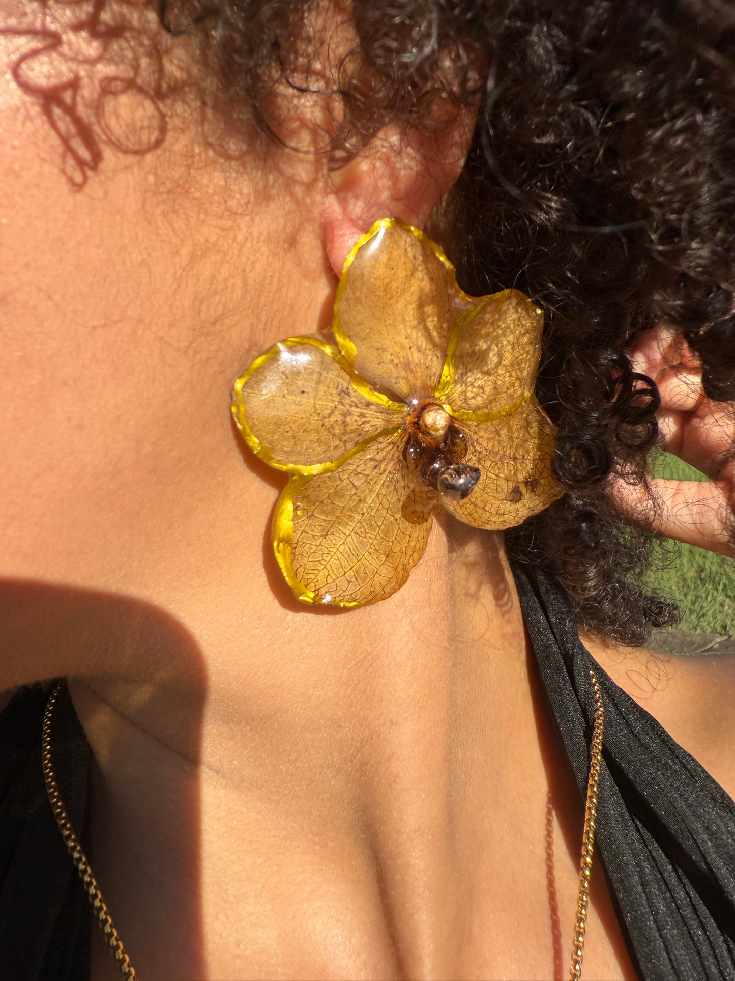 Big Orchid Vanda set