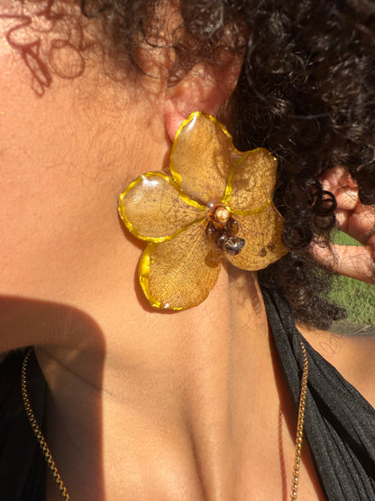 Big Orchid Vanda set