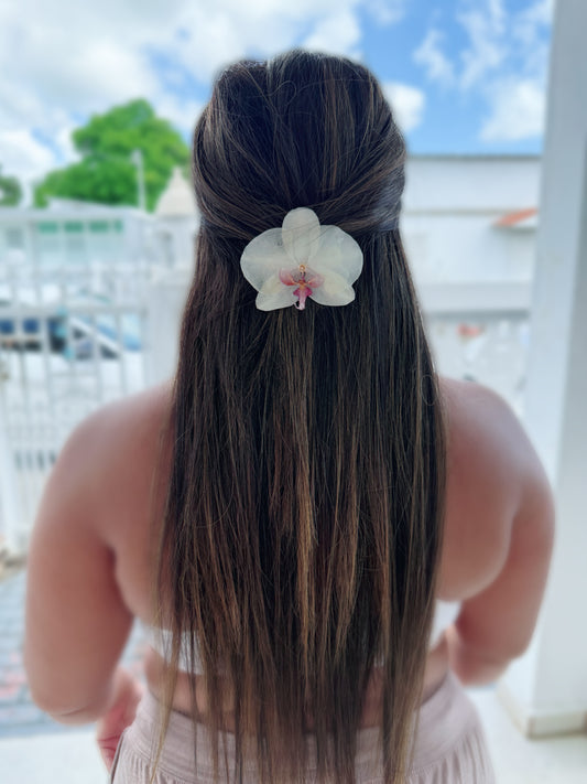 White Phalaenopsis Orchid Hair clip