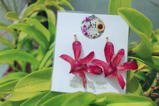 Vine Dendrobium Orchid earings