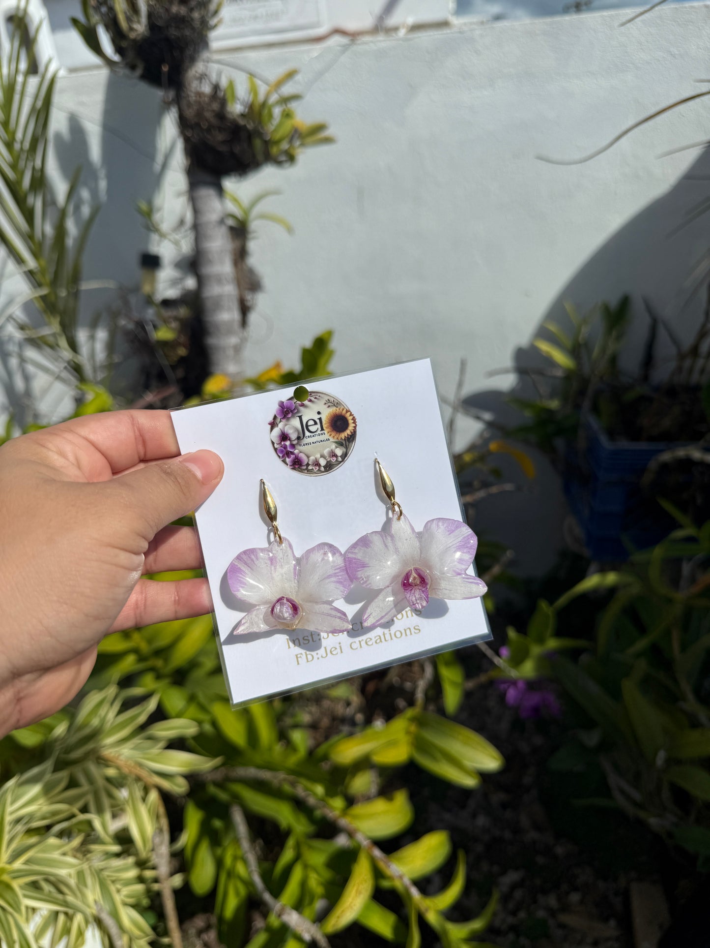 Dendrobium Orchid Purple line