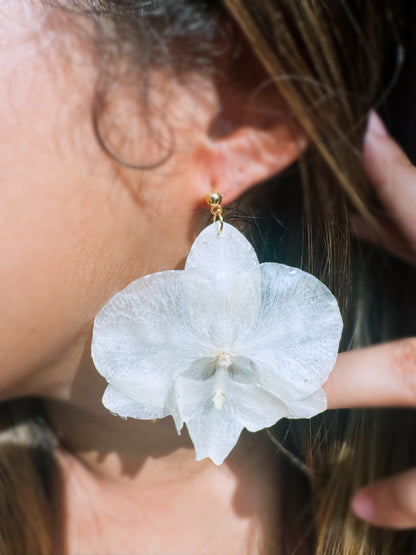 Phalaenopsis Anthura White Big Lip Orchid earings