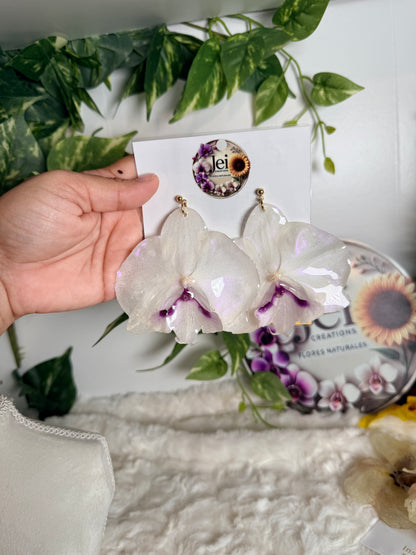 White Phalaenopsis Orchid Drop Earrings