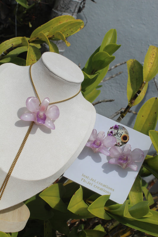 Baby purple Dendrobium set
