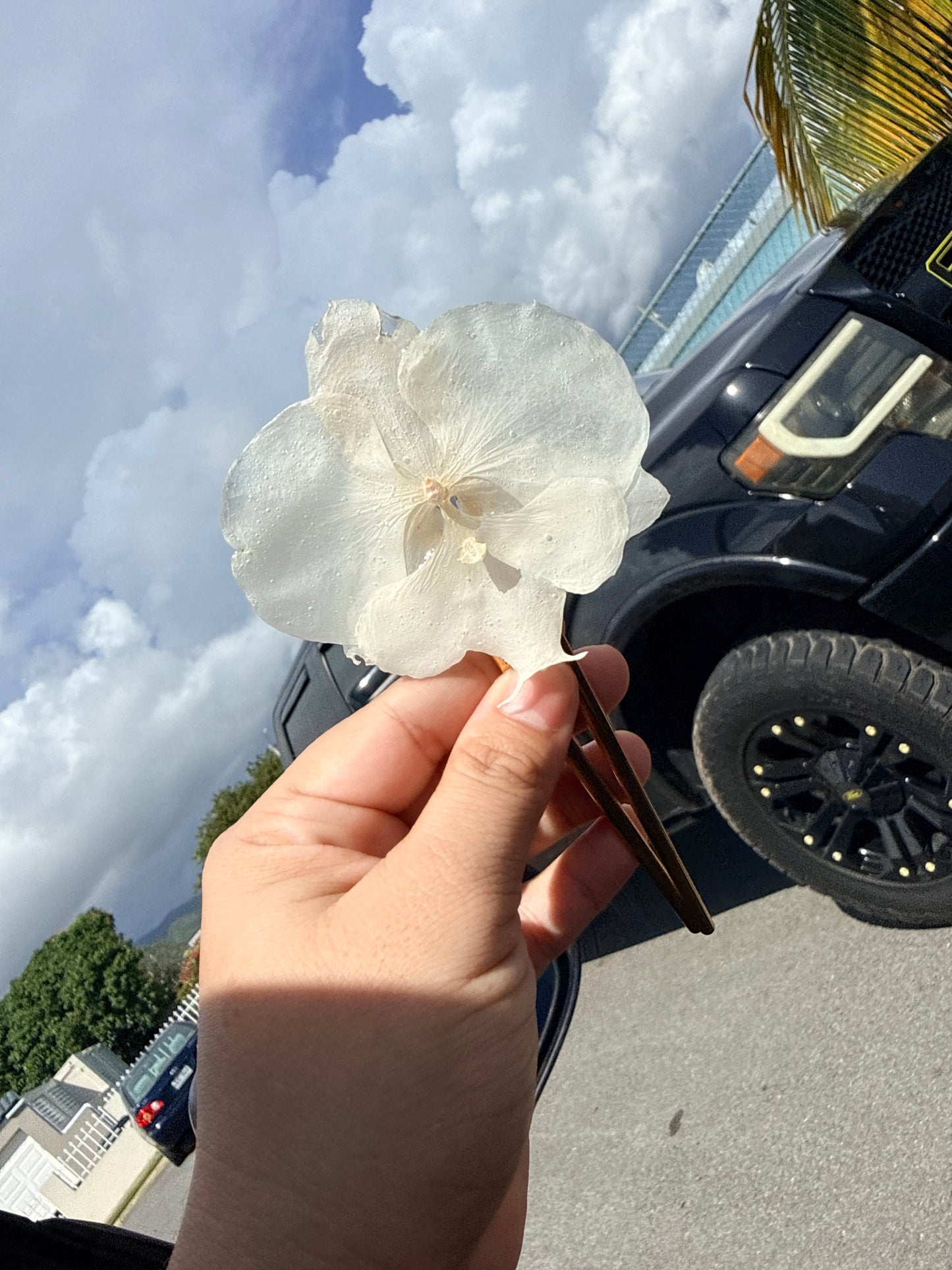 White Phalaenopsis Orchid Hair comb