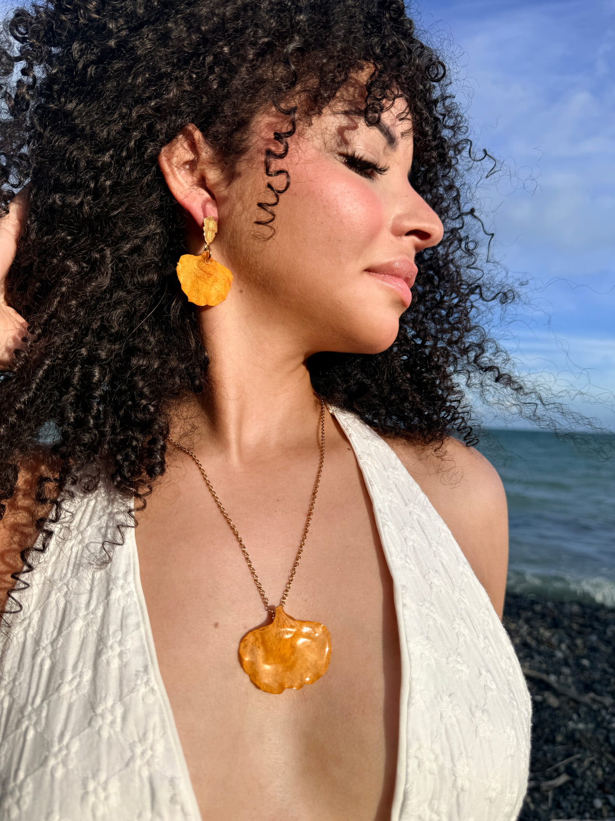 Set flamboyán amarillo