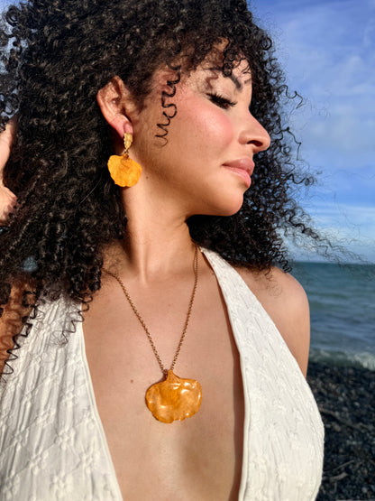 Set flamboyán amarillo