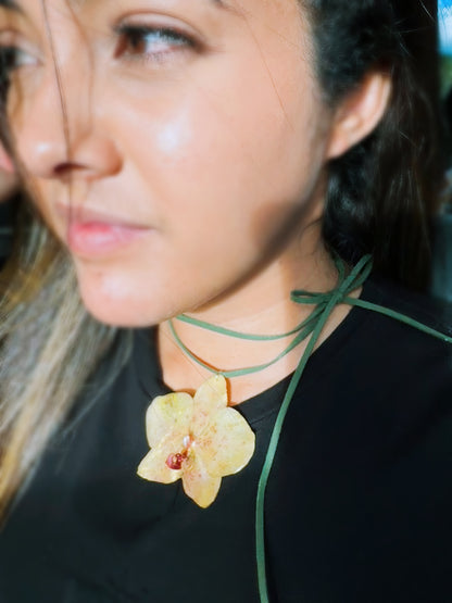 Phalaenopsis Orchid Choker