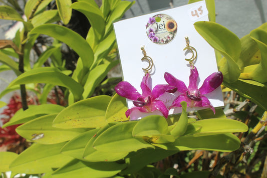 Moon Orchid earings