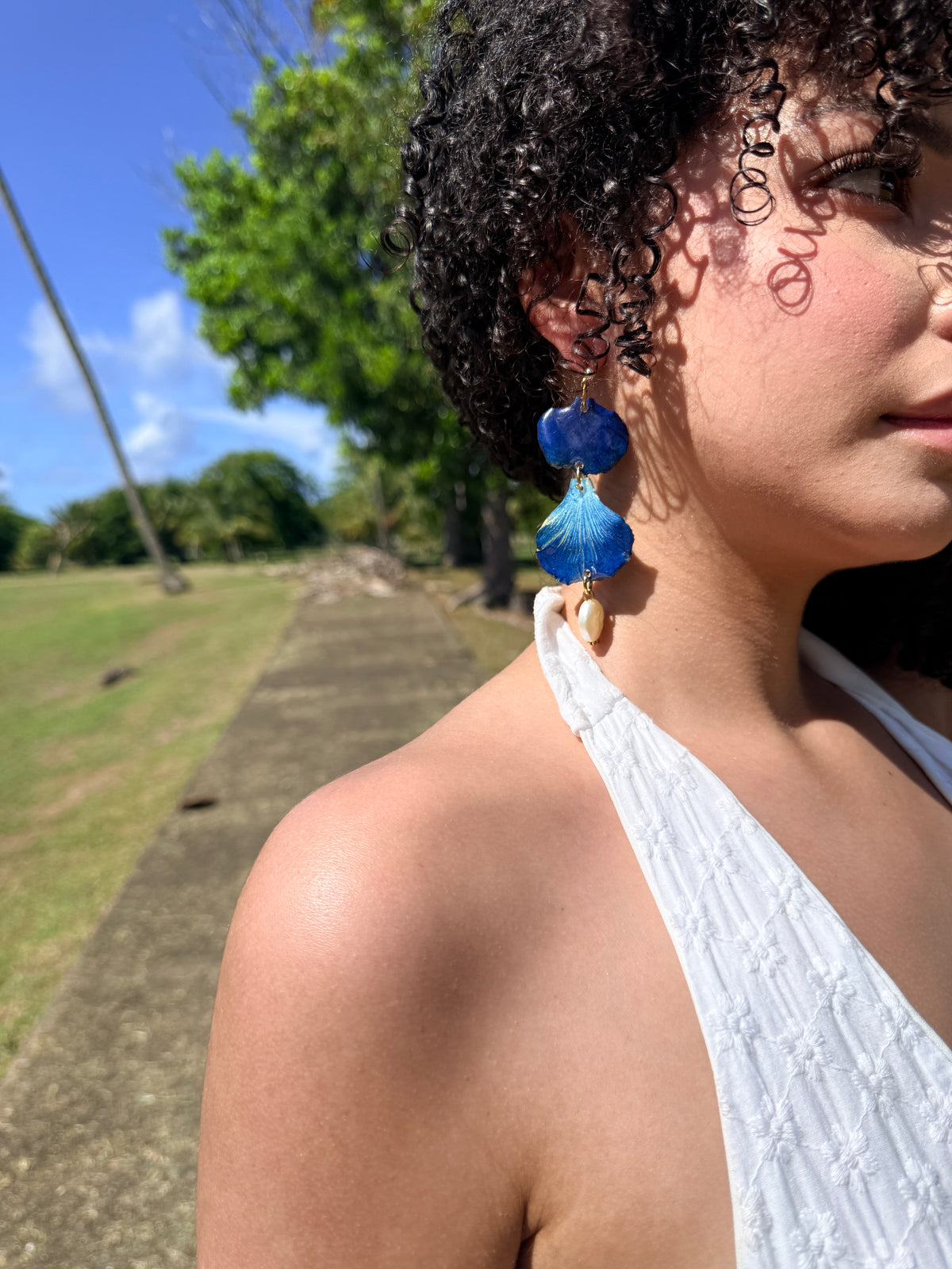 Flamboyán azul