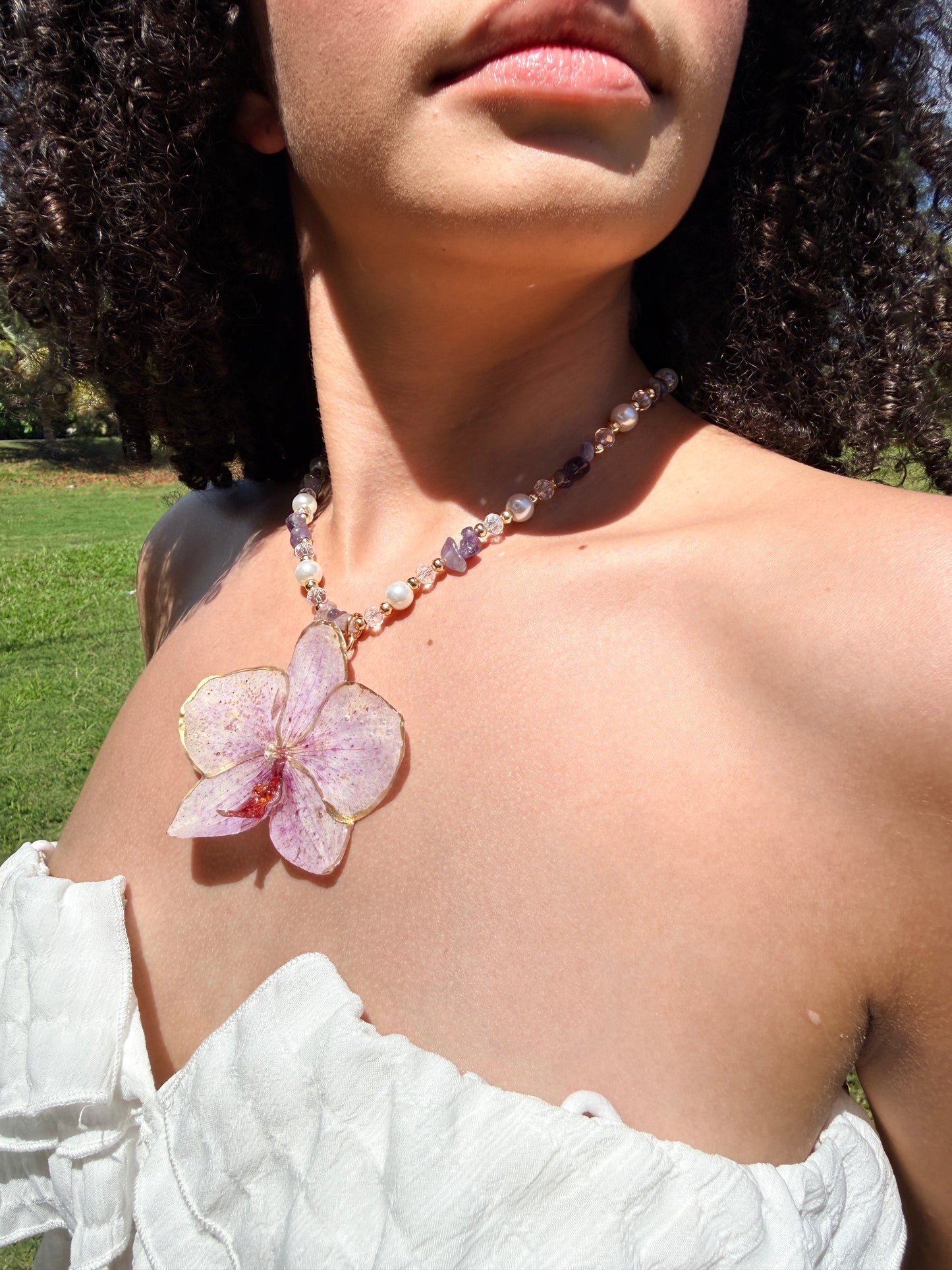 Phalaenopsis fairy purple necklace