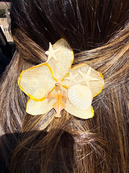 Phalaenopsis hair clip