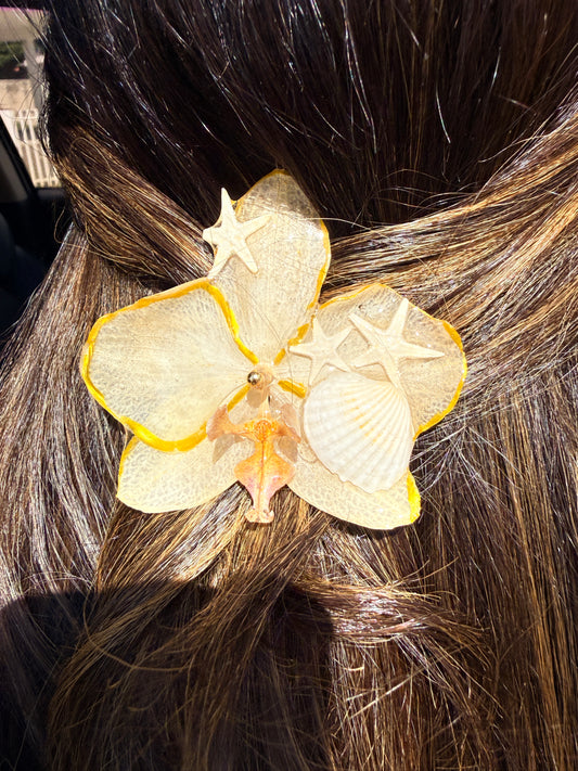 Phalaenopsis hair clip