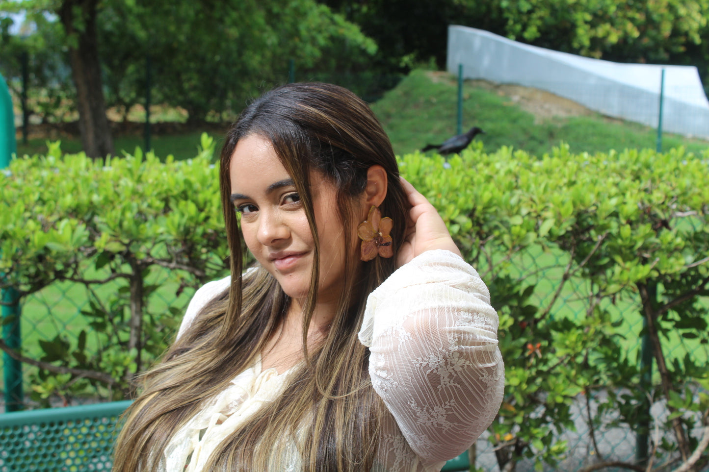 Big Orchid Vanda set