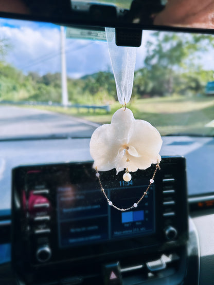 White Phalaenopsis Orchid Car Hanging