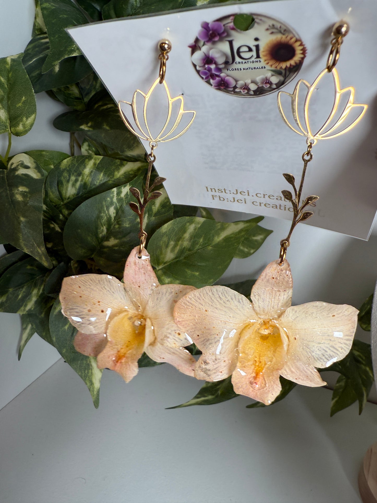 Pinky Dendrobium tulipán earings