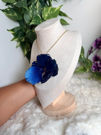 Flamboyán azul set