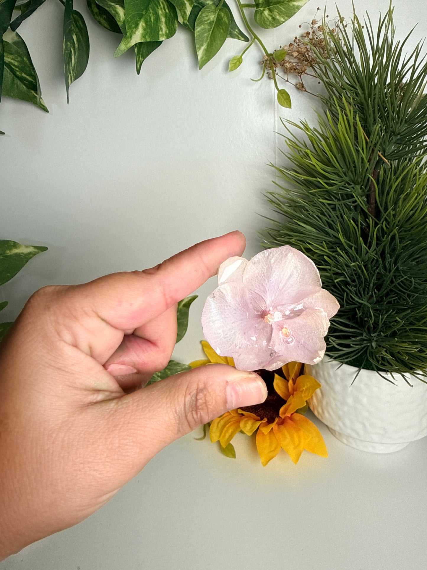 Prendedores(Orchid pins)