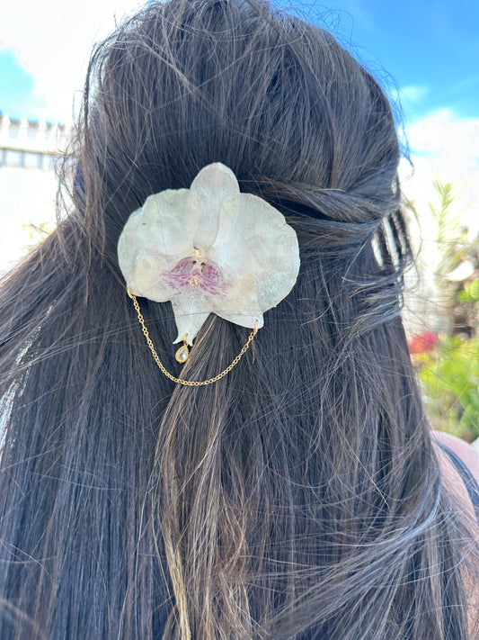 Phalaenopsis white Orchid Hair clip
