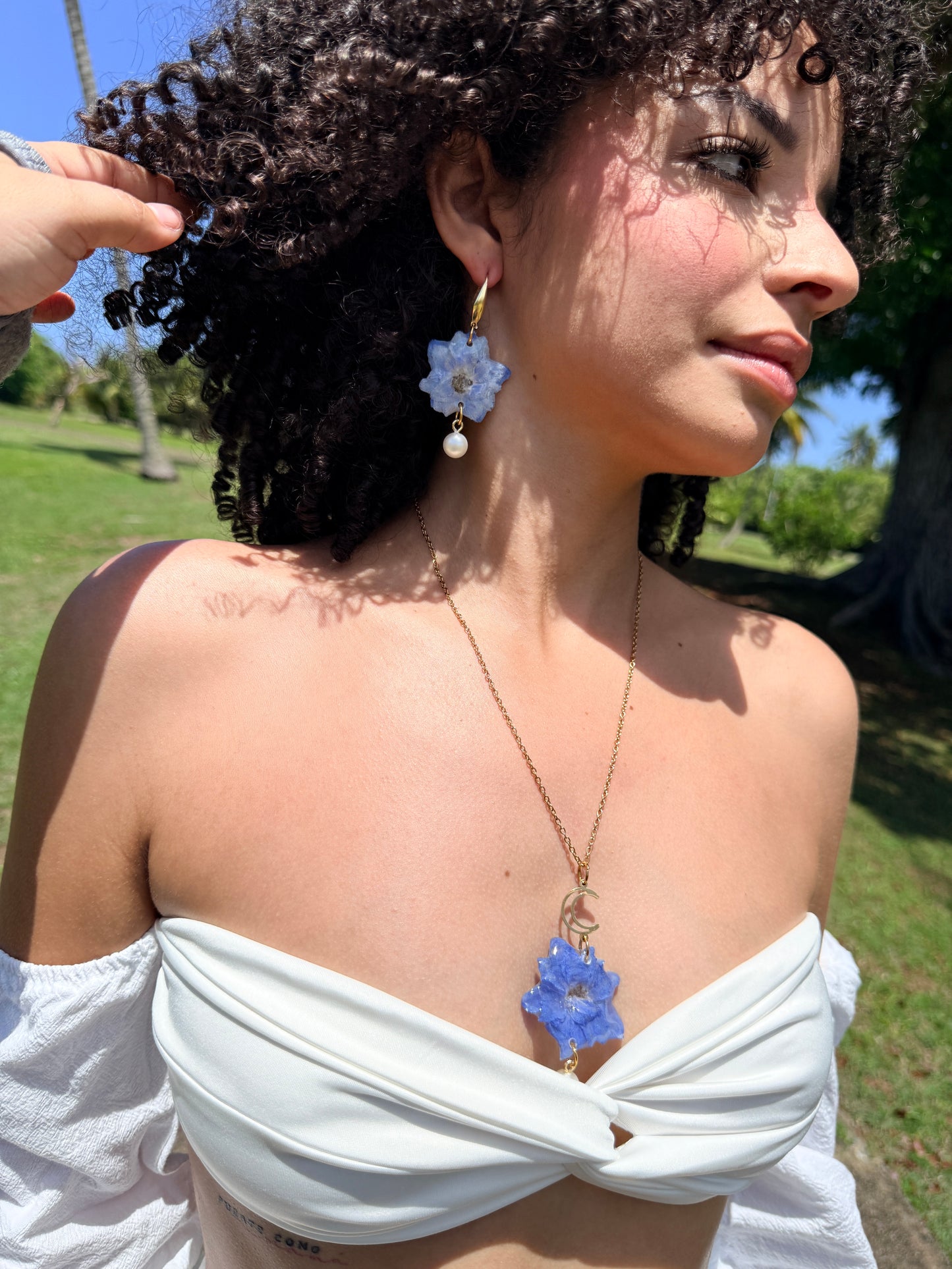 Celestia Delphinium Set