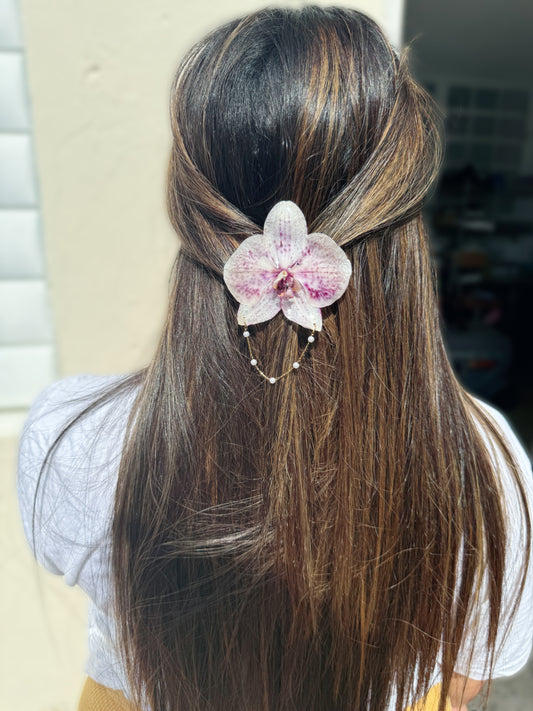Phalaenopsis Orchid Hair clip