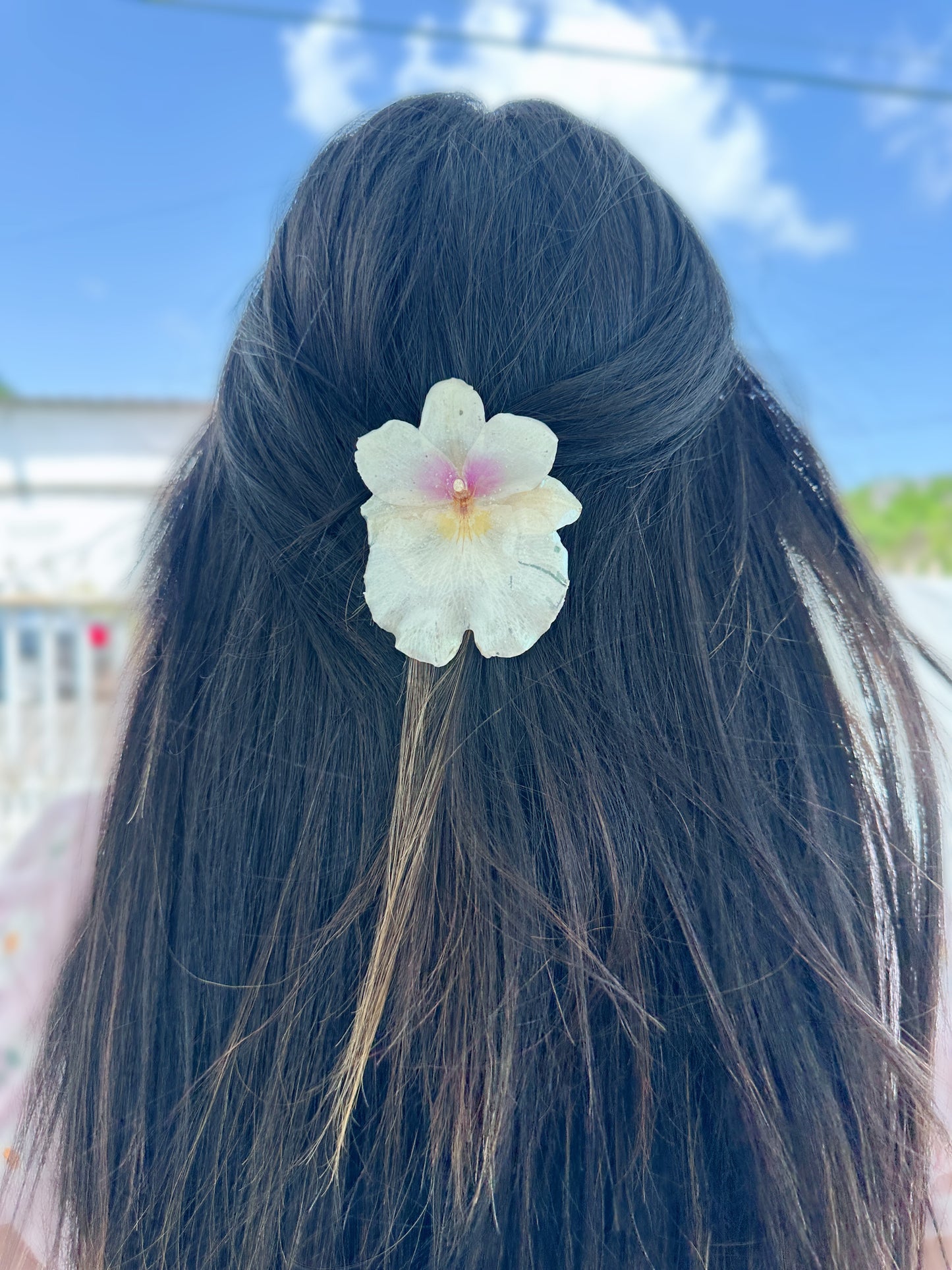White Miltonia Orchid Hair clip