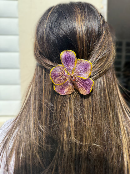 Vanda Orchid Hair clip