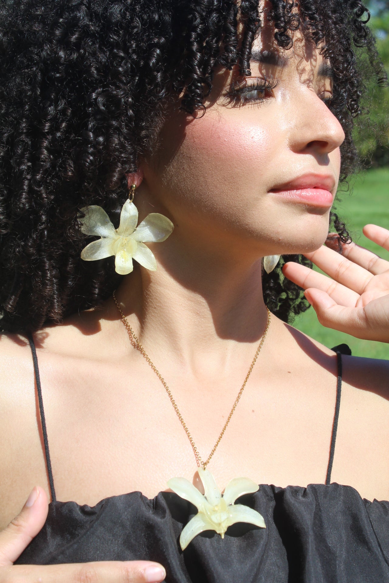 Orchid Holiday Bundle🎄