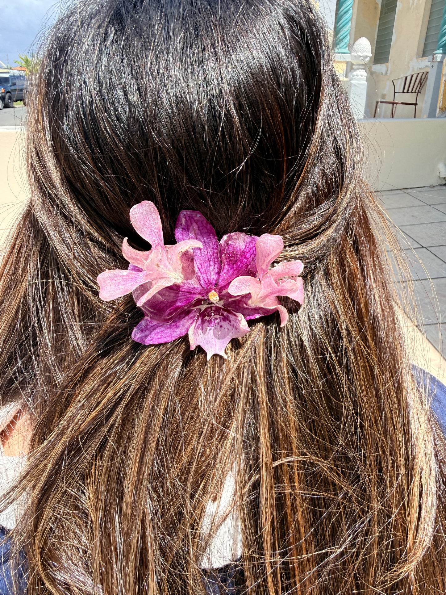 Pinche Orquídea Intensa