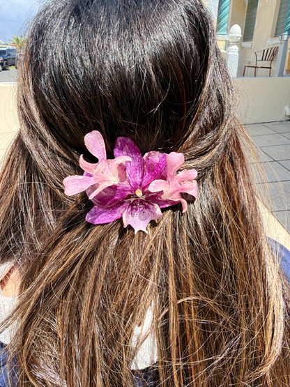 Pinche Orquídea Intensa