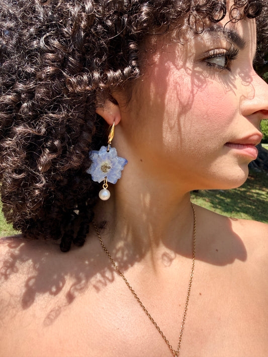 Celestia Delphinium Set
