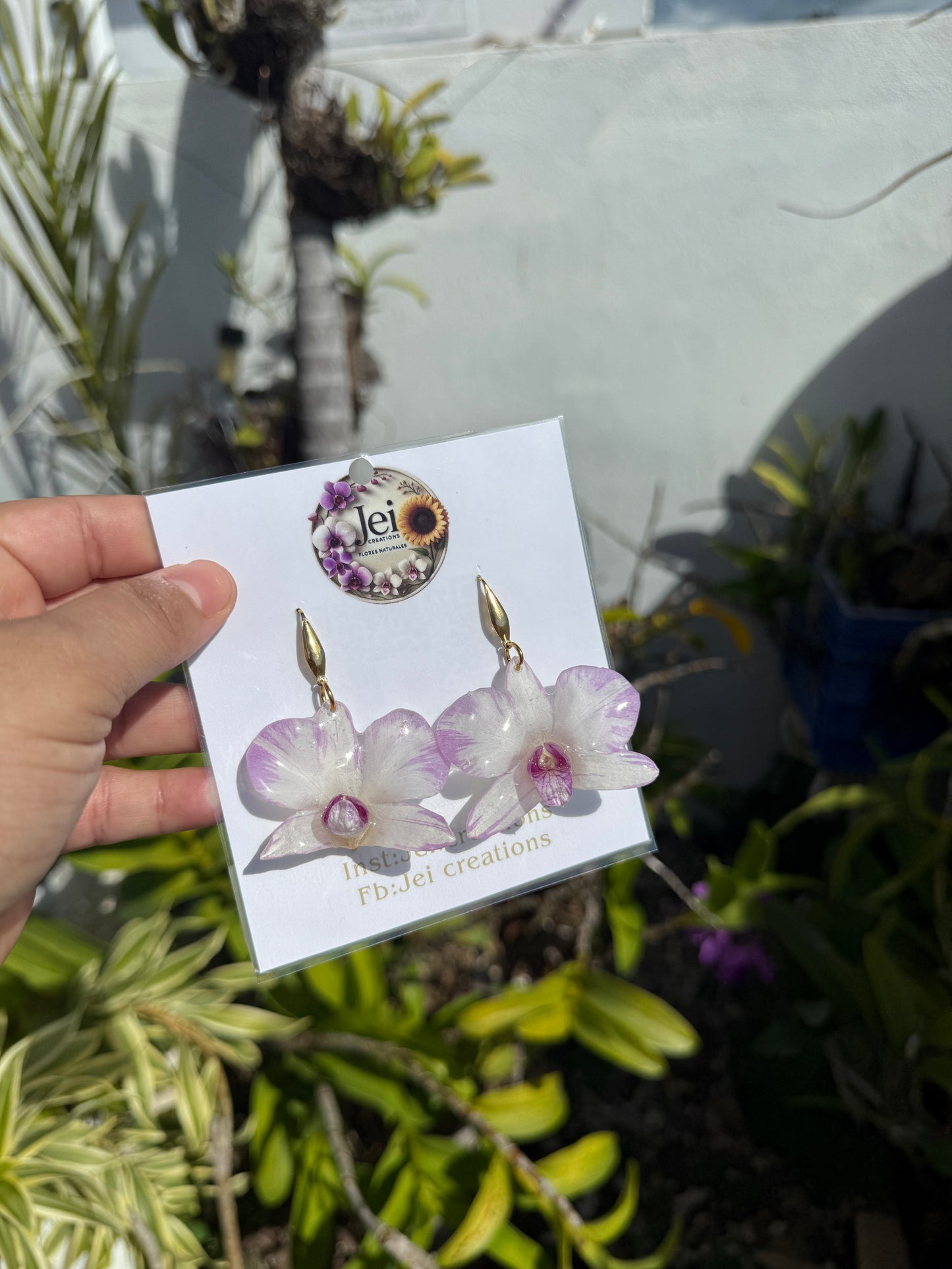 Dendrobium Orchid Purple line