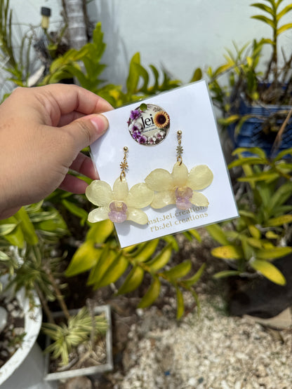 Baby yellow orchid earings