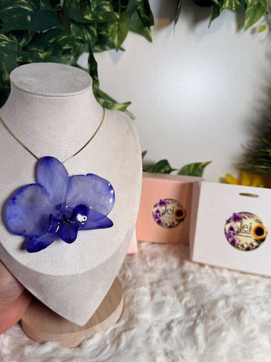 Midnight Blue Orchid for Mom(bundle)
