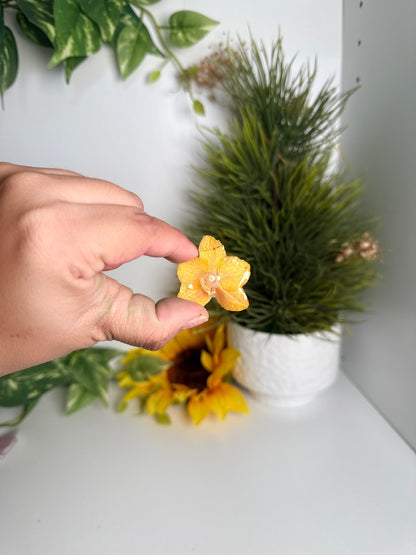 Prendedores(Orchid pins)