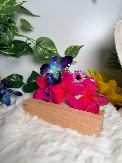 Vivid Bloom LED Display