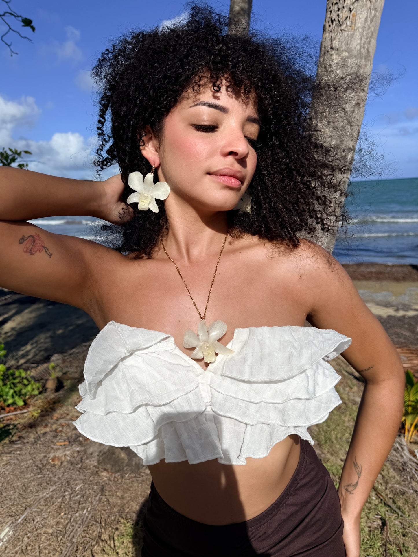 White Dendrobium Orchid