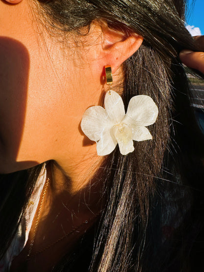 White Dendrobium orchid earings