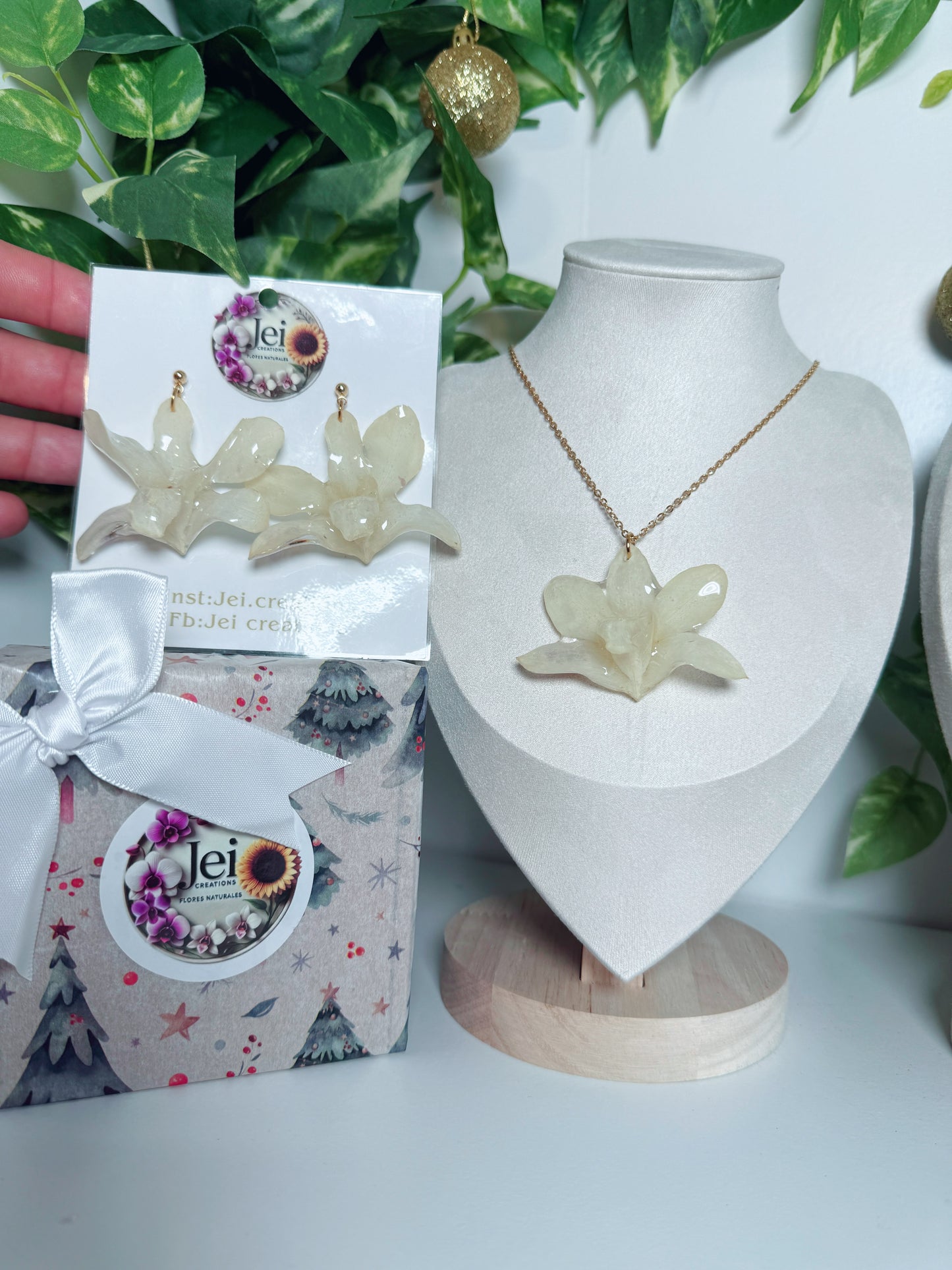 Orchid Holiday Bundle🎄