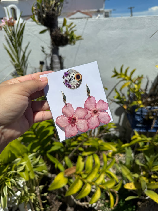Pink Desert rose earings
