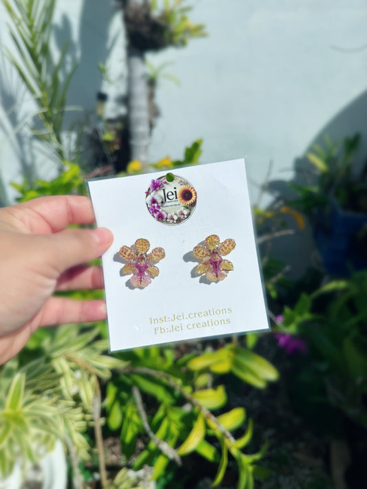 Extra baby animal print oncidium Orchid stud