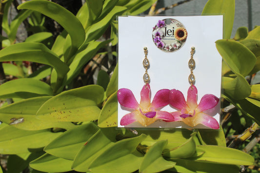 Hawái Dendrobium Orchid earings