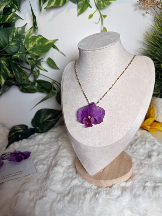 Royal Orchid Set