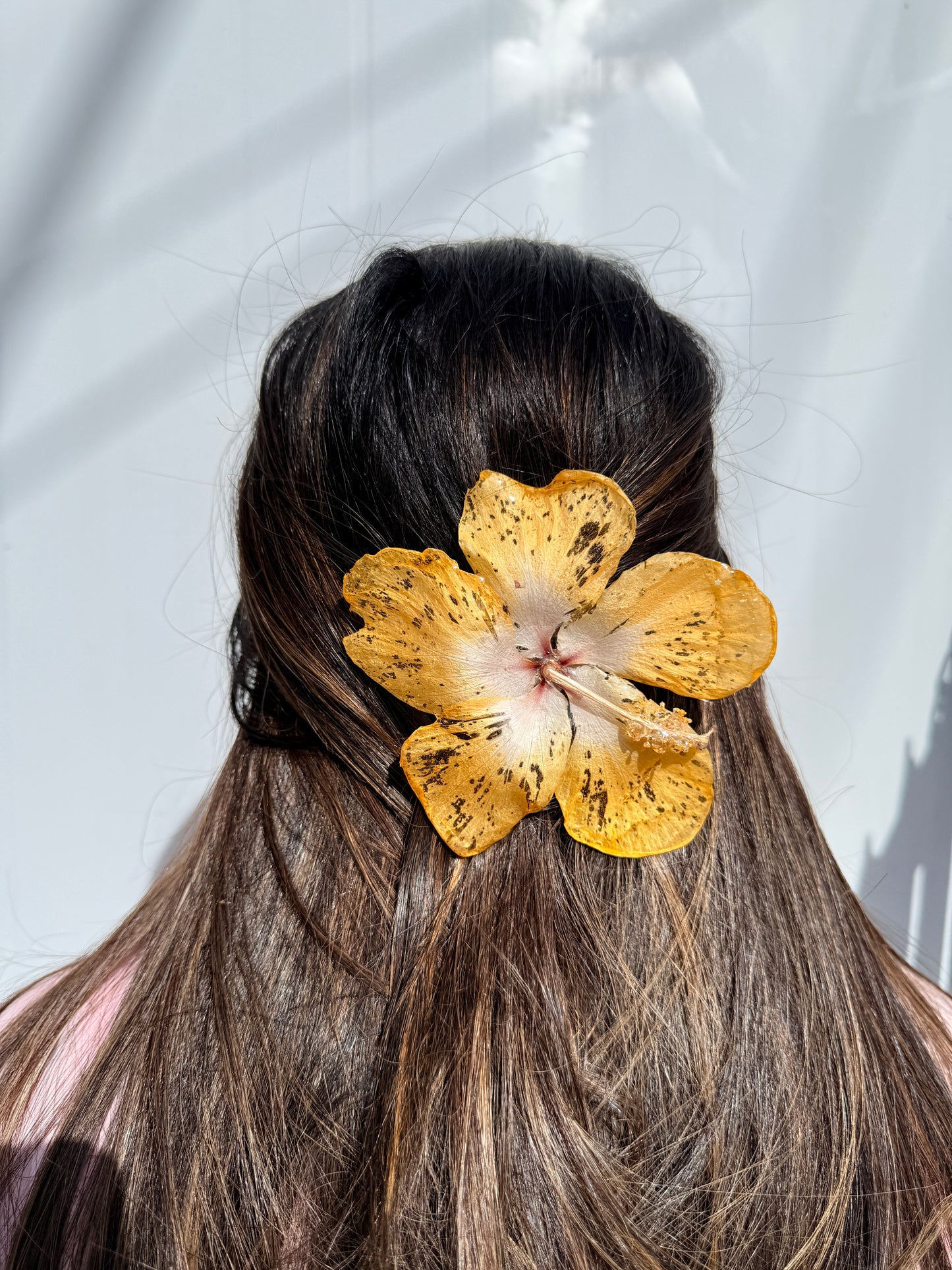 Exotic Hair Clip
