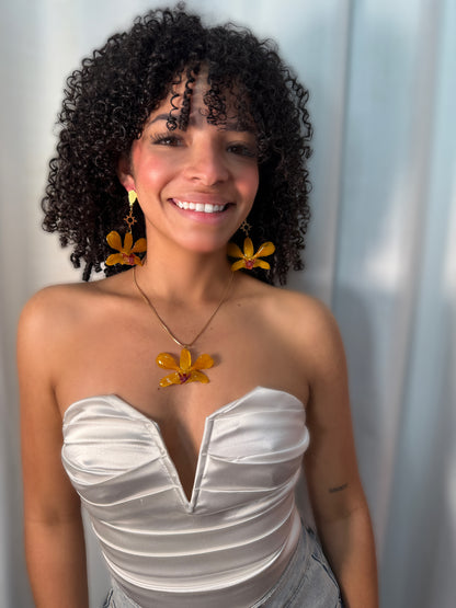 Fairy Dendrobium set