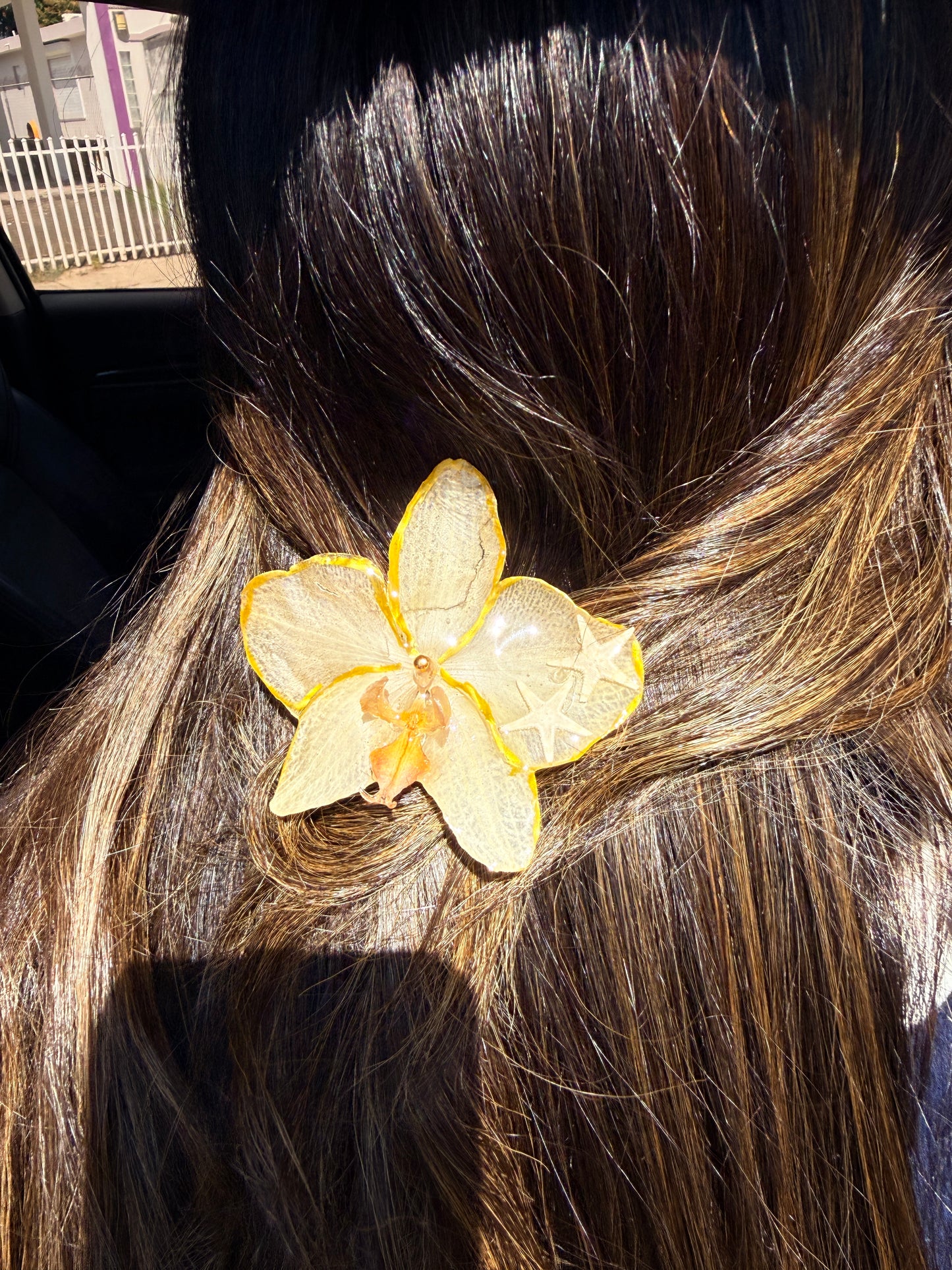 Phalaenopsis hair clip