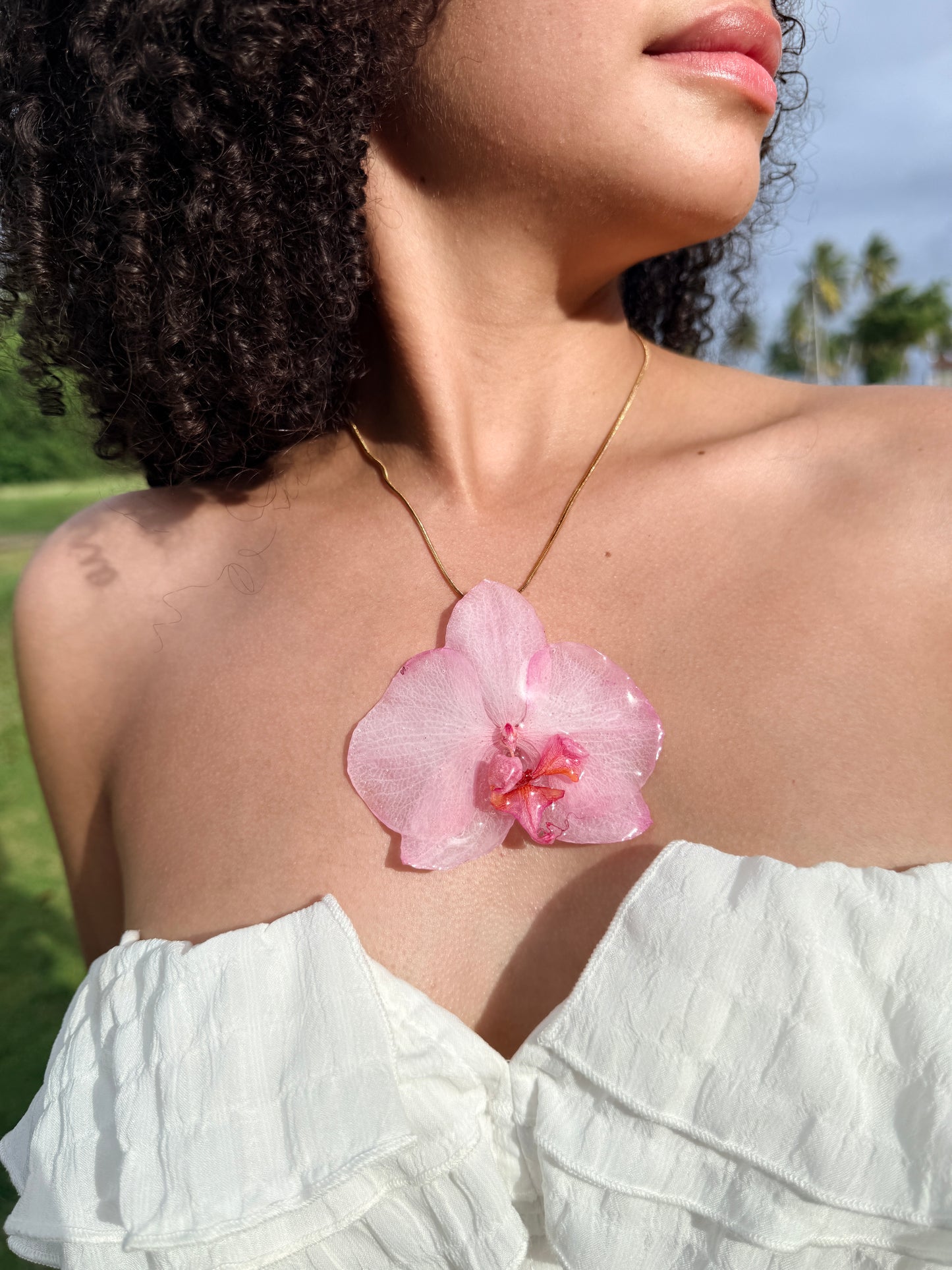 Mother’s Love Orchid Bundle